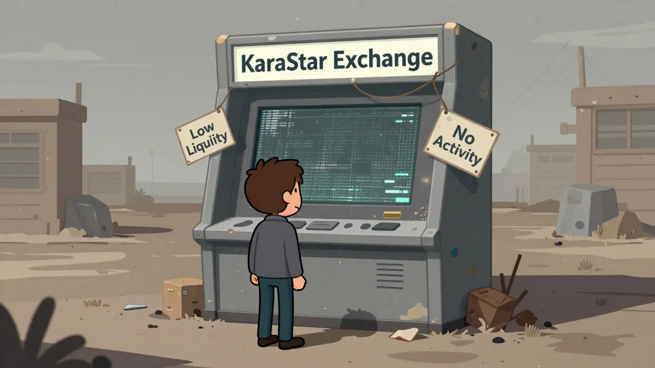 An investor facing a broken, dusty exchange kiosk in a deserted digital landscape.
